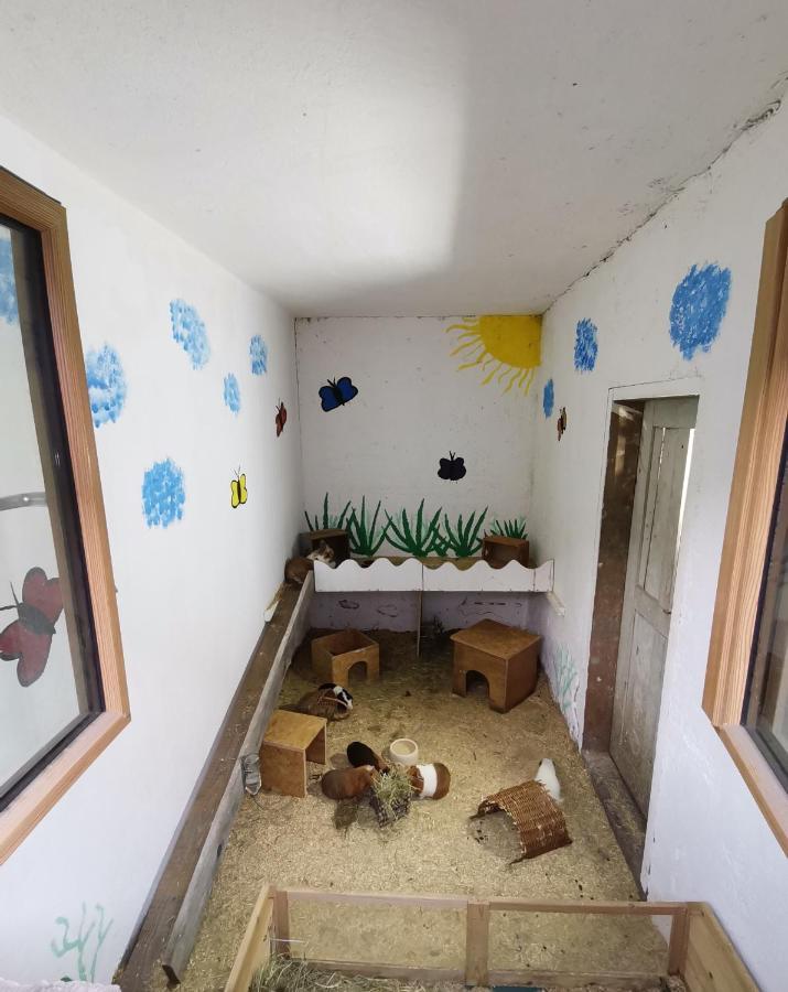 Apartmán Hartl Hof Breitenberg  Exteriér fotografie